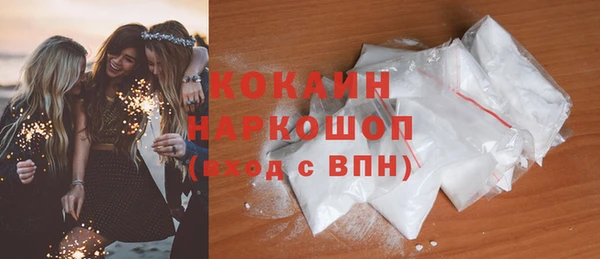 мдпв Бородино