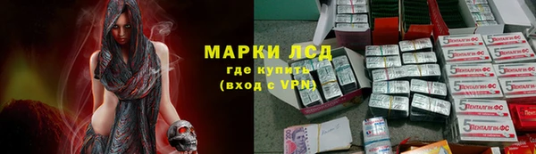мдпв Бородино