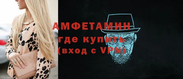 мдпв Бородино