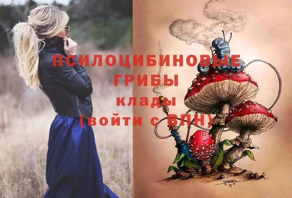 ECSTASY Верея
