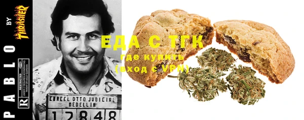 мдпв Бородино