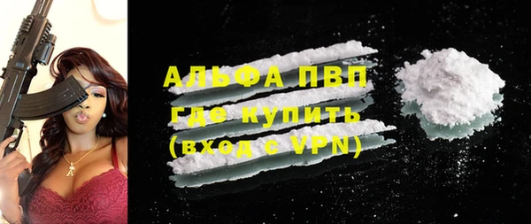 гашик Богданович